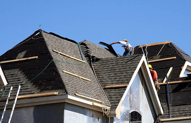 Best Metal Roofing Contractor  in La Porte City, IA