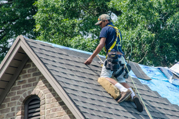 Best Storm Damage Roof Repair  in La Porte City, IA